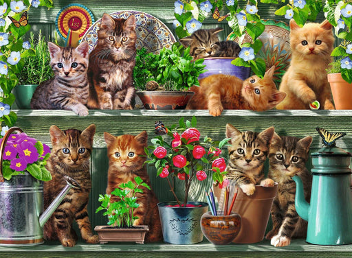 Ravensburger - Cats on the Shelf Puzzle 500 pieces - Ravensburger Australia & New Zealand