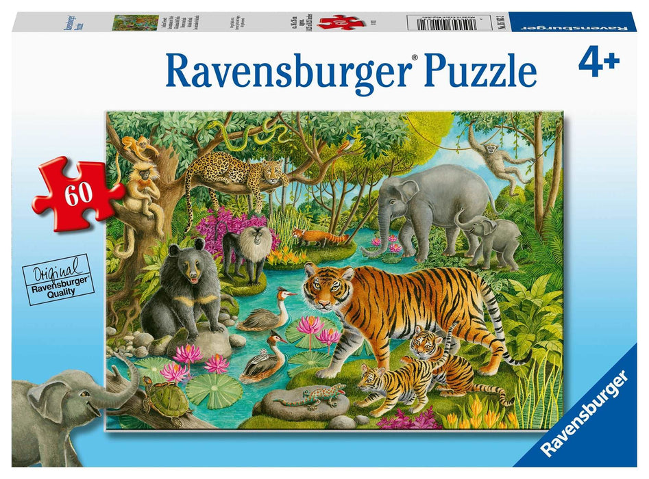 Ravensburger - Animals of India Puzzle 60 pieces - Ravensburger Australia & New Zealand