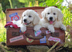 Ravensburger - Travelling Puppies Puzzle 100 pieces - Ravensburger Australia & New Zealand