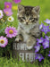 Ravensburger - Kitten among the Flowers Puzzle 100 pieces - Ravensburger Australia & New Zealand