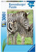 Ravensburger - Zebra Love Puzzle 300 pieces - Ravensburger Australia & New Zealand