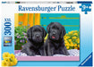 Ravensburger - Puppy Life Puzzle 300 pieces - Ravensburger Australia & New Zealand