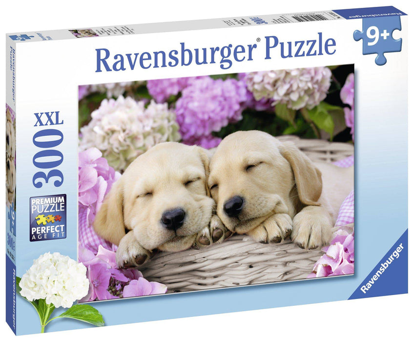 Ravensburger - Sweet Dogs in a Basket Puzzle 300 pieces - Ravensburger Australia & New Zealand