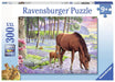 Ravensburger - Serene Sunset Puzzle 300 pieces - Ravensburger Australia & New Zealand
