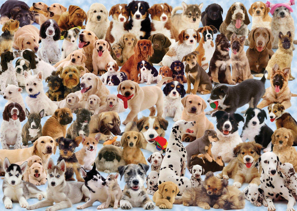 Ravensburger - Dogs Galore! Puzzle 1000 pieces - Ravensburger Australia & New Zealand