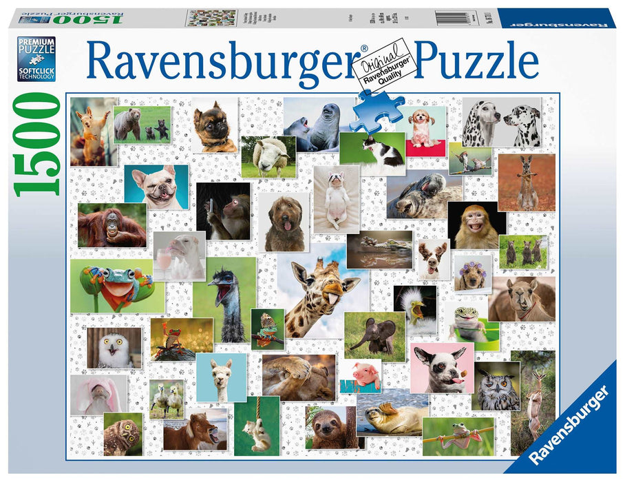 Ravensburger - Funny Animals Puzzle 1500 pieces - Ravensburger Australia & New Zealand