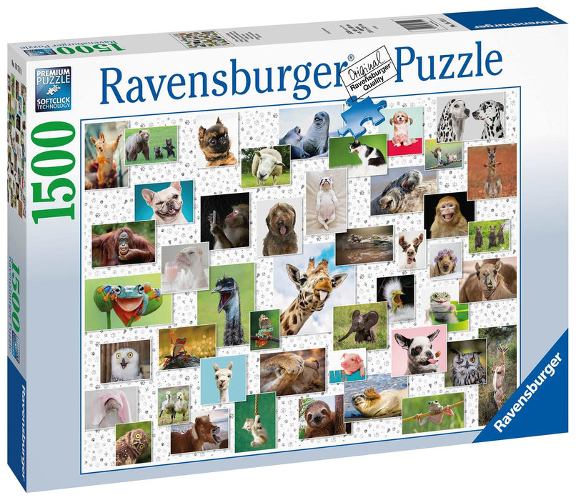 Ravensburger - Funny Animals Puzzle 1500 pieces - Ravensburger Australia & New Zealand