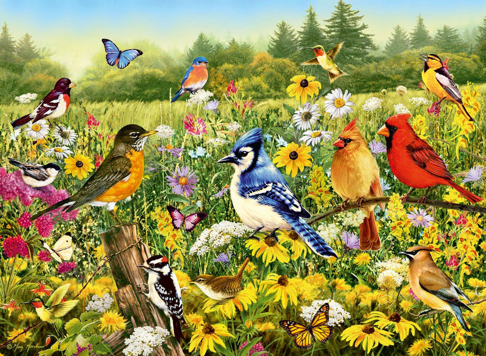Ravensburger - Birds in the Meadow 500 pieces - Ravensburger Australia & New Zealand