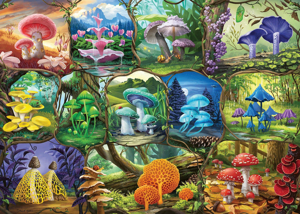 Ravensburger - Beautiful Mushrooms 1000 pieces - Ravensburger Australia & New Zealand