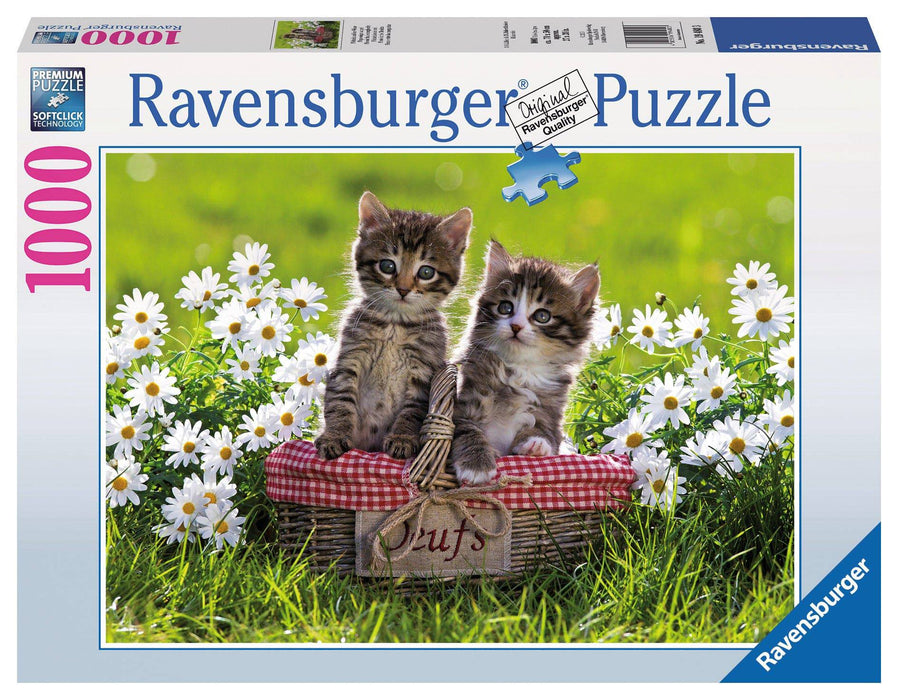 Ravensburger - Picnic in the Meadow Puzzle 1000 pieces - Ravensburger Australia & New Zealand
